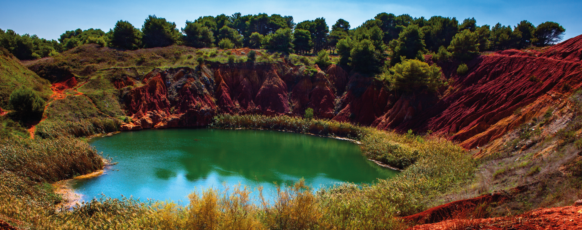 Moringa oleifera - Salento Cava di Bauxite