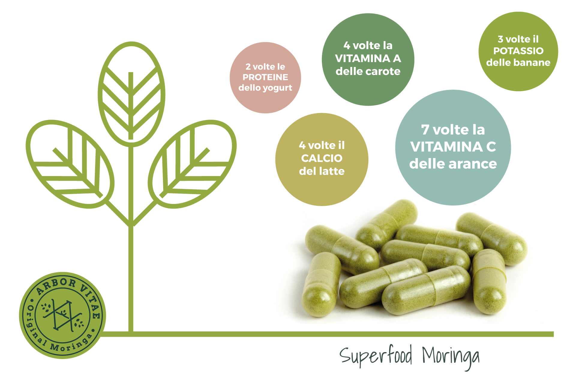 Moringa oleifera - superfood