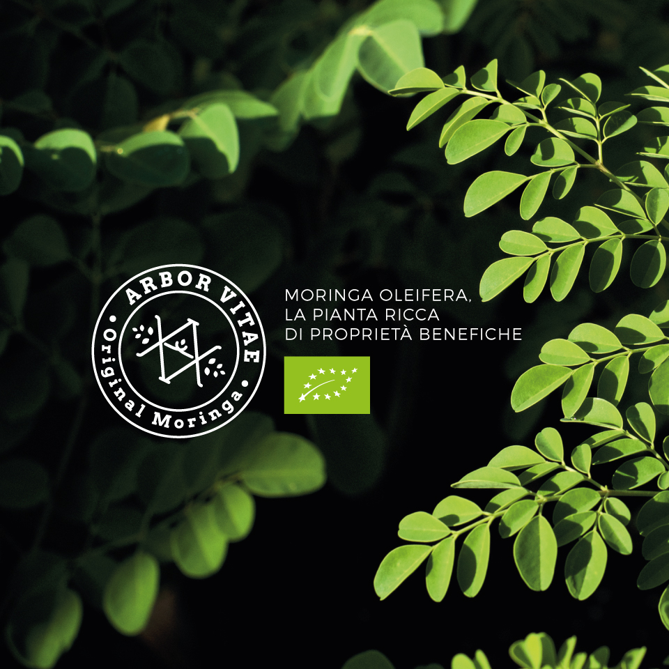 Moringa del Salento Bio