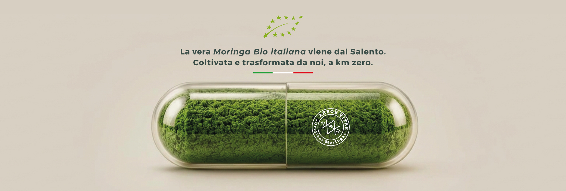 La vera Moringa Oleifera Biologica italiana