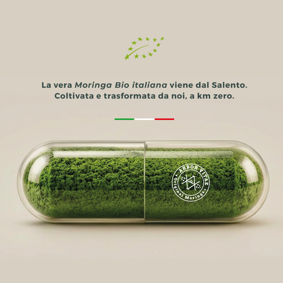 La vera Moringa Oleifera Biologica italiana