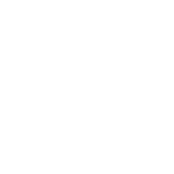Prodotti a base di Moringa, vegani e senza glutine